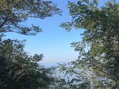 -辽宁团山国家级海洋公园