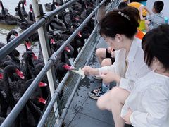 -艾溪湖湿地公园