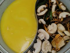 -青瓷火锅料理(西单大悦城店)