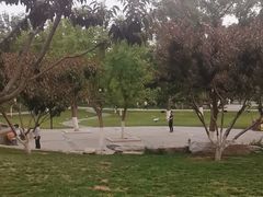 -西海子公园