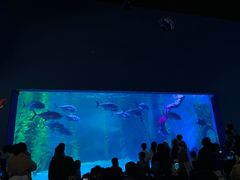 -常州海昌海洋探索馆