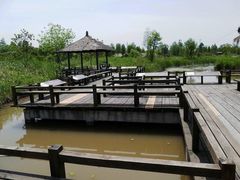 -宁波杭州湾国家湿地公园