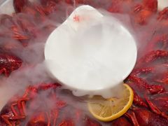 -杨氏青龙虾·羊蝎子(托乐嘉店)