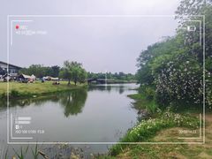 -南湖湿地公园