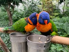 -南宫五洲植物乐园