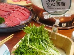 活体空心菜苗儿-阳坊胜利涮羊肉(阳坊老店)