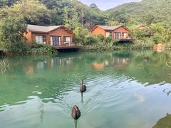 -杭州开元森泊度假乐园