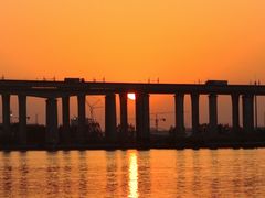 -先锋海鲜市场