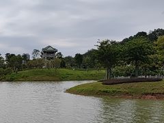 -王借岗森林公园