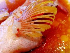 -金苑海鲜酒家(来魅力店)