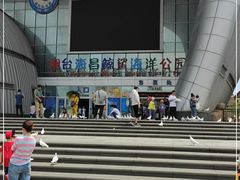 -烟台海昌鲸鲨海洋公园