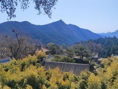 -潭柘寺景区