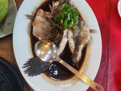 清蒸竹笋壳鱼-大树下海鲜饭店