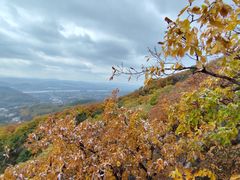 -吉林市朱雀山国家森林公园