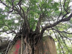 -乌山风景区