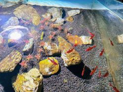 -青木造型HAIR·あおき髪を刈る潮人店