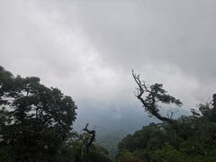 -青城山
