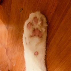 -奈瑞儿美颜塑身SPA