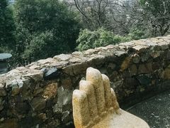 -九华山公园