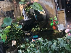 -园林美食城·本土农家菜(杨和镇店)