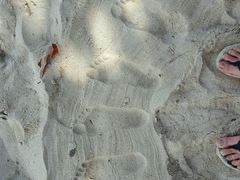 -自然餐厅(Phuket)