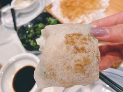 -丁老爷子苏香圆