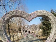 -莫子山公园