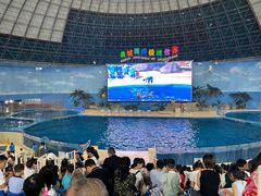 -泉城欧乐堡海洋极地世界