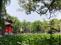 -四川大学(望江校区)