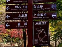 -黄椅山火山森林公园