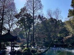 -杭州植物园
