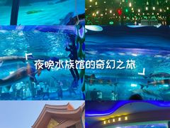 -西双版纳原始森林公园