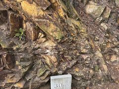 -羚羊峡古栈道森林公园