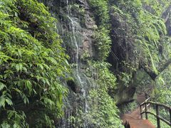 -碧峰峡风景区