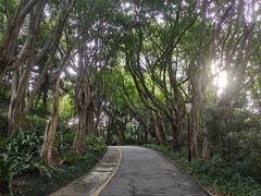 -深圳国际园林花卉博览园