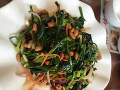 -祝家饺子馆