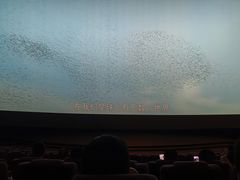 -金逸影城(武汉人信汇IMAX店)