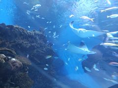 -海合安成都极地海洋公园