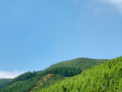 -塞罕坝国家级自然保护区