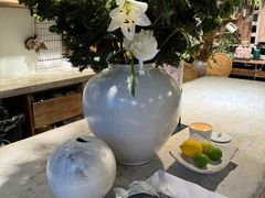 -自由生长植物工作室(深港花卉中心店)