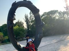 -广东惠东海龟国家级自然保护区