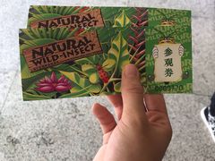 -上海大自然野生昆虫馆(东方明珠·爬宠昆虫探索中心)