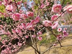 -上海吴淞炮台湾国家湿地公园