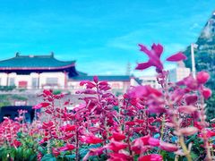 -岳麓山风景名胜区