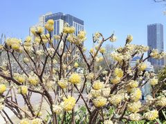 -后襄河公园