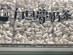 -白日梦奶茶