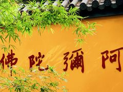 -灵谷景区
