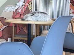 -Let's go狗咖·猫咖·奶狗·桌游(春熙路IFS店)