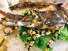 -火舞泰·泰式海鲜火锅餐厅(世纪城店)