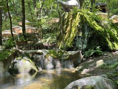 -牛背梁国家森林公园